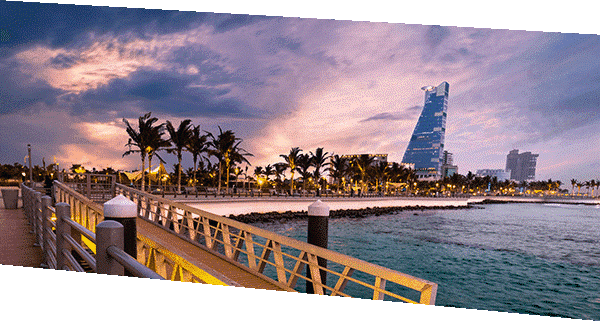 Learn about the Saudi Arabia expert training program