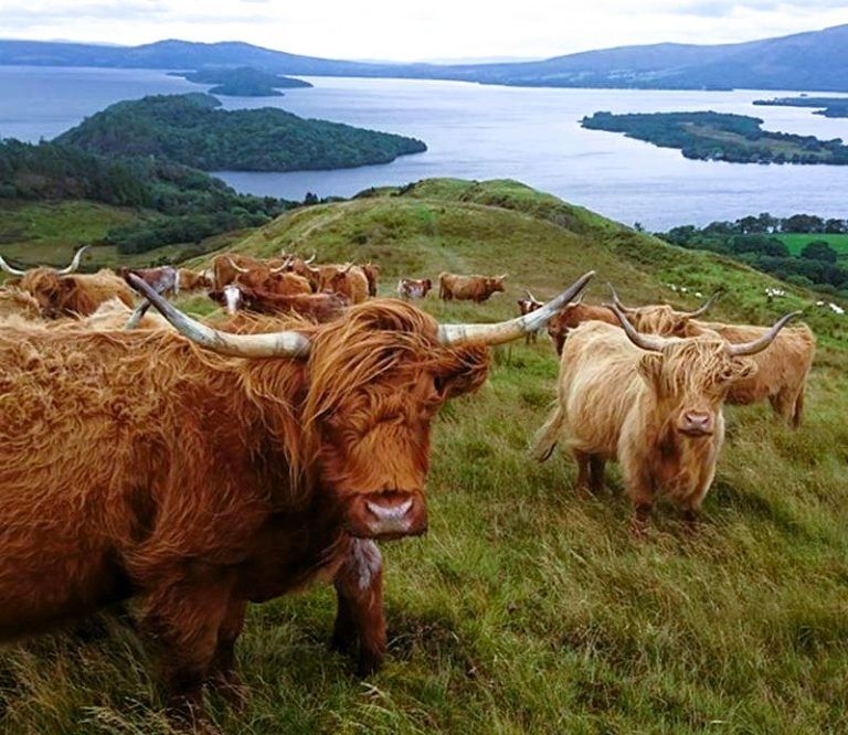 Agrotourism turns increasingly important for Scotland