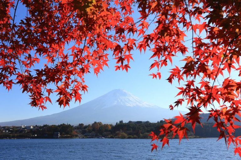 Japan is increasingly turning into a wedding destination for foreign couples