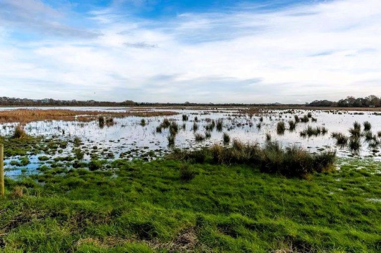 Gatwick Airport's journey to net zero with new Wildlife Trust partnerships