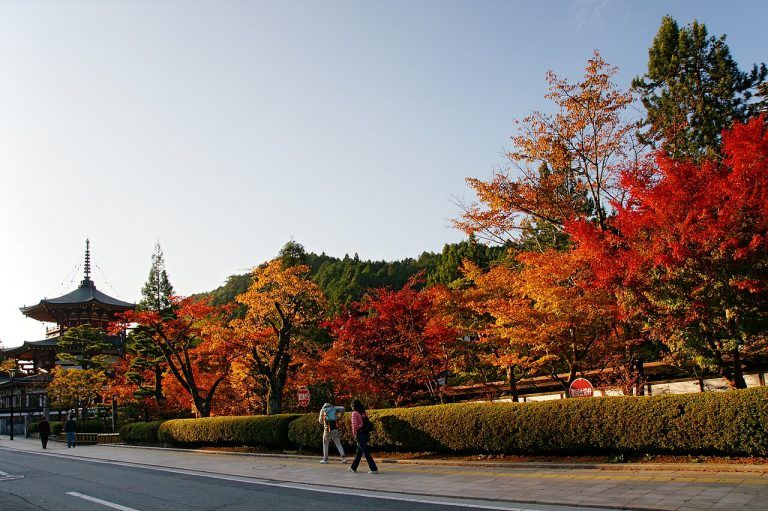 JNTO new global campaign "Japan. Unforgettable" to target potential first time visitors