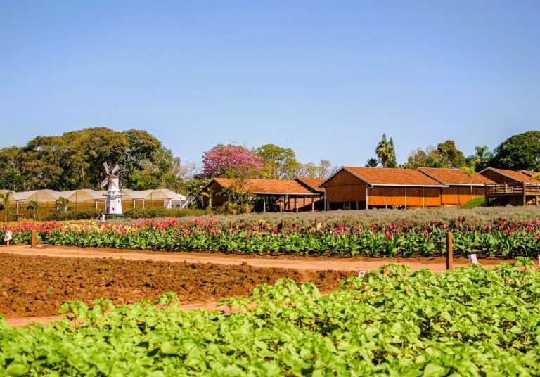 Brazil names seven contenders for UN Tourism village award