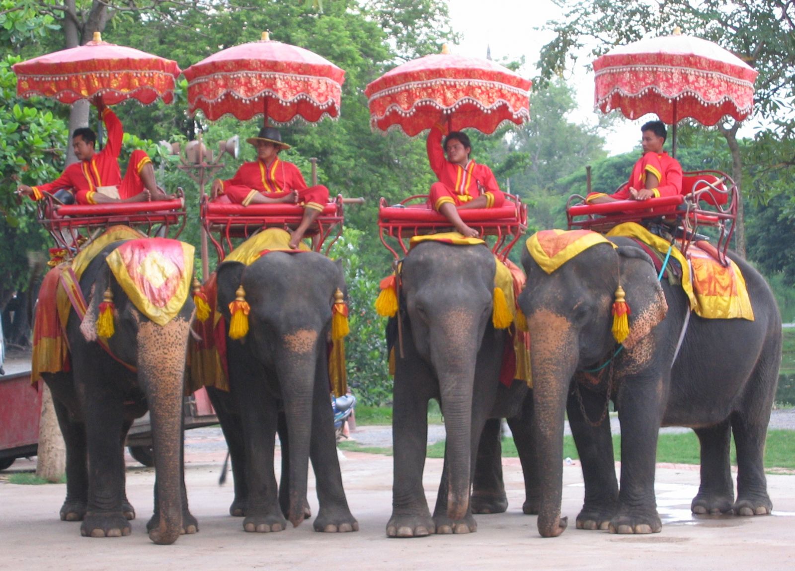 https://www.travelmole.com/wp-content/uploads/2020/01/Ayutthaya_elephants.jpg