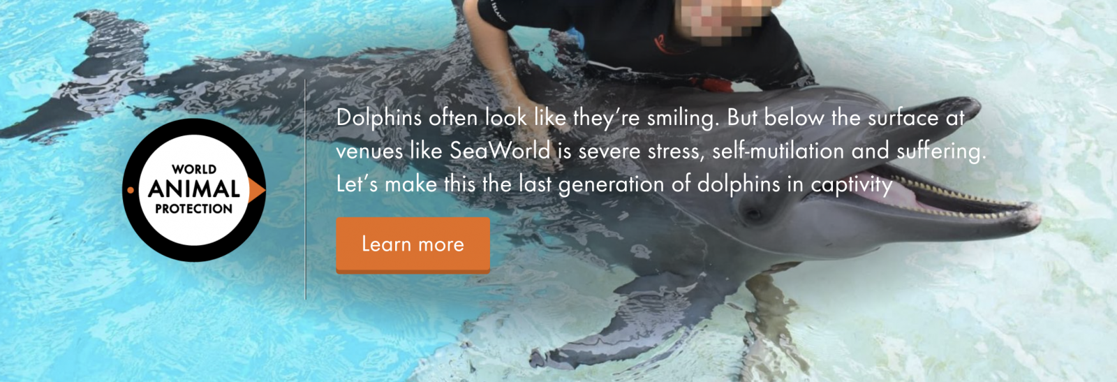 Expedia under pressure to stop selling dolphin shows