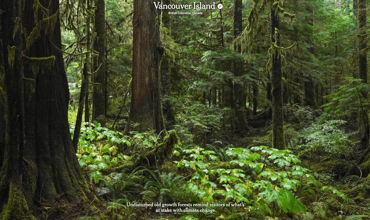 Vancouver Island Featured In Ny Times “52 Places To Travel In 2022” List