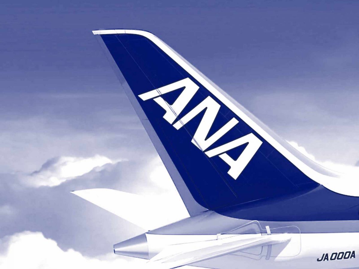 ana travel package