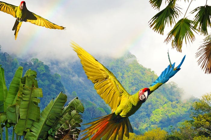 Pleasant Holidays® And Journese® Announce Exclusive 2023 Costa Rica Guided Vacations Now Open For Booking With Guaranteed Departures