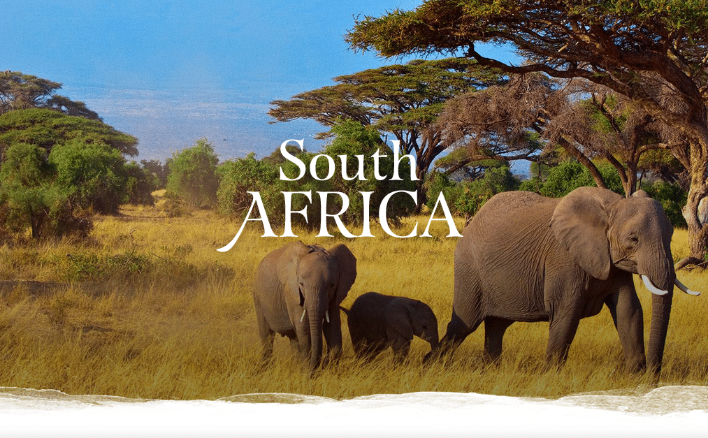 Azamara Returns to South Africa and South America with Country Intensive and Specialty Voyages