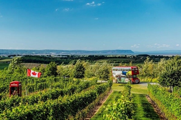 Discover Nova Scotia’s Wine Country