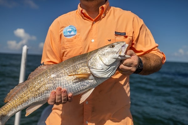 Fishing in Louisiana – “Sportsman's Paradise” - TravelMole