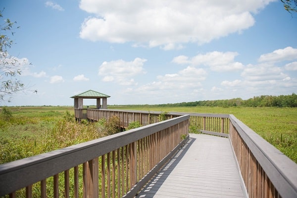 Lake Charles is a Must-Visit Spot for Nature Lovers