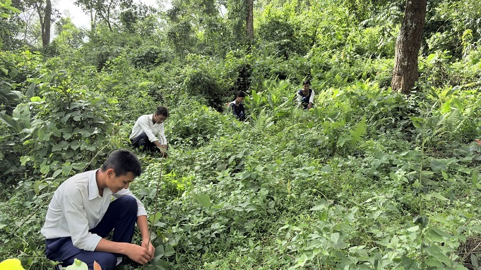 Just You reveals impact of anniversary tree project